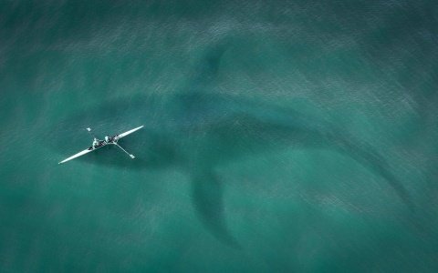 Stalking Two – The World