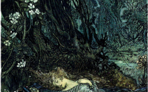 dreaming_12