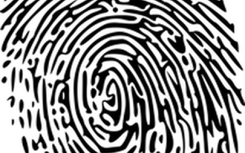 spirals_one